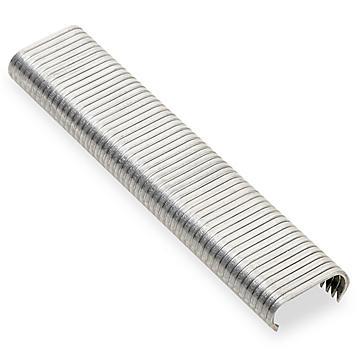 Straight Blade Fourplex Receptacle: NEMA 5-15R, 15 Amps, Self-Grounding